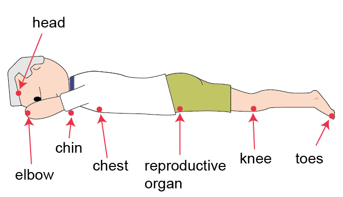 An elderly man in prone position, red arrows pointing to the common sites of pressure injuries: head, elbow, chin, chest, reproductive organ, knee and toes An elderly man in prone position, red arrows pointing to the common sites of pressure injuries: head, elbow, chin, chest, reproductive organ, knee and toes