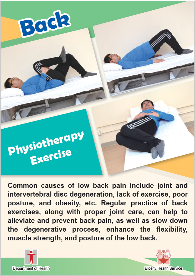 Back​ Physiotherapy Exercise​