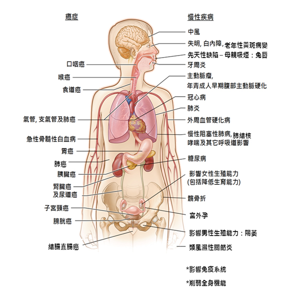 吸煙可引致的疾病