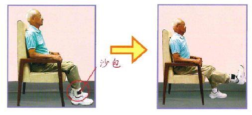 圖四：強化肌肉運動